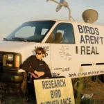 Birds Aren’t Real Conspiracy Theory: An In-Depth Examination