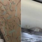 Pak Man Details Dusty Chairs, Broken Seat Handles on PIA Flight