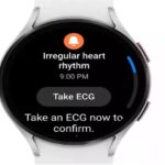 Samsung Launches ‘Irregular Heart Rhythm Notification’ Feature for Galaxy Watches in India